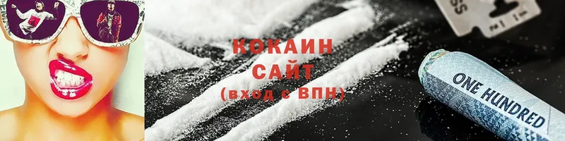 COCAIN Fish Scale  продажа наркотиков  Чудово 