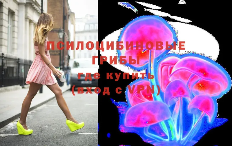 Галлюциногенные грибы Magic Shrooms  Чудово 